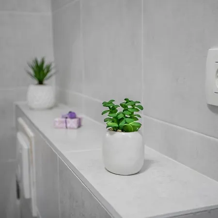 Apartman Leoni